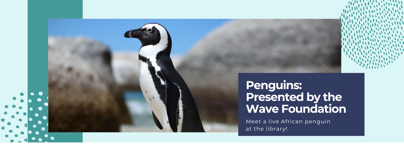 Penguins Presented by the Wave Foundation